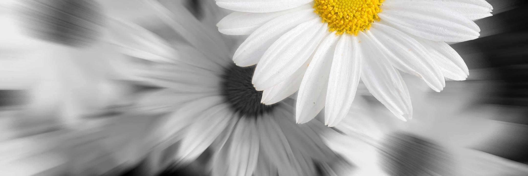 img_7296b_by_Christiane_Raabe_pfarrbriefservice