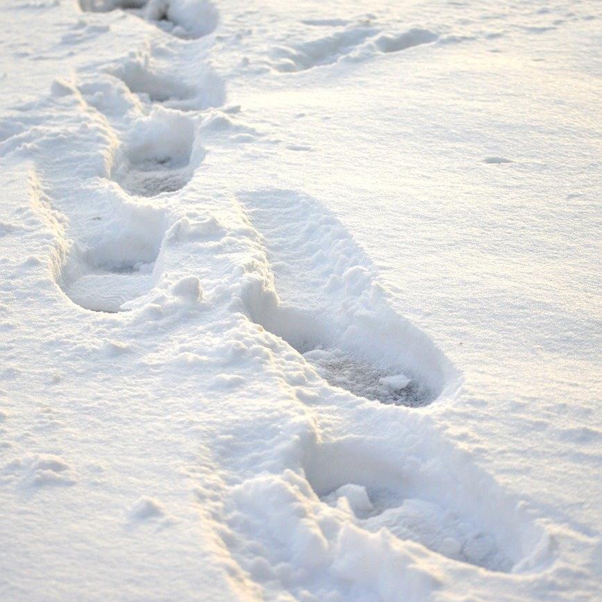 Fußspuren im Schnee