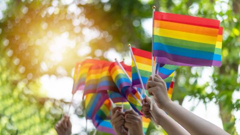 Viele Hände halten Regenbogenflaggen