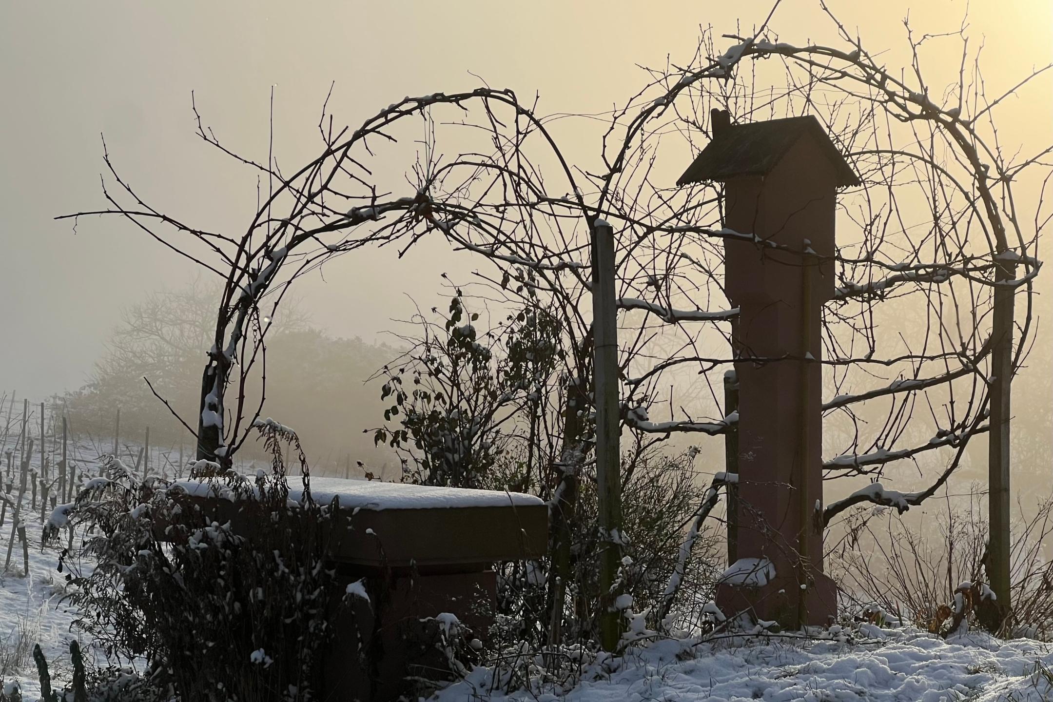 Hemsberg - Sonja Petersen