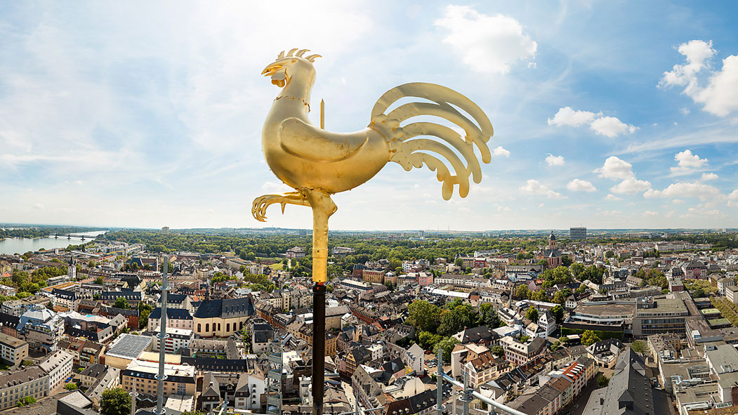 Domsgickel über Mainz