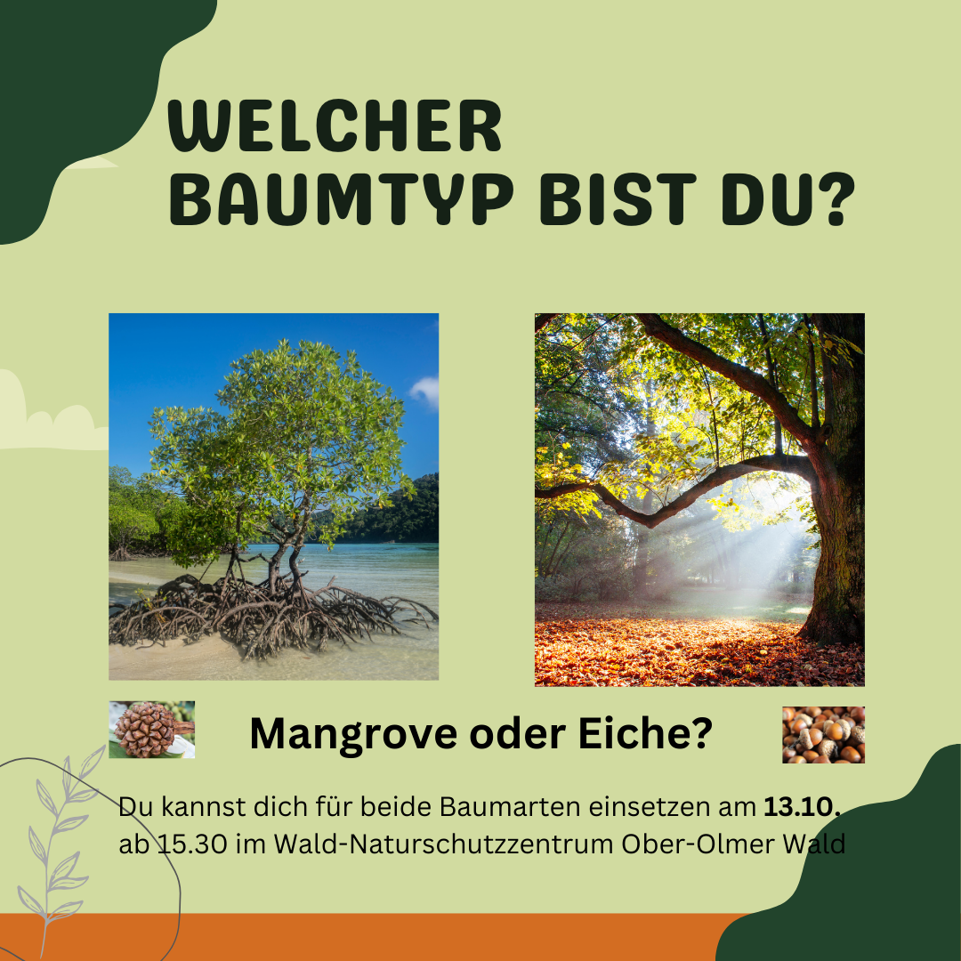 Welcher Baumtyp bist du