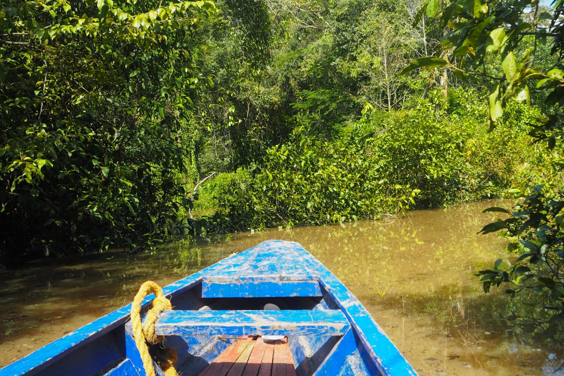 Amazonas River