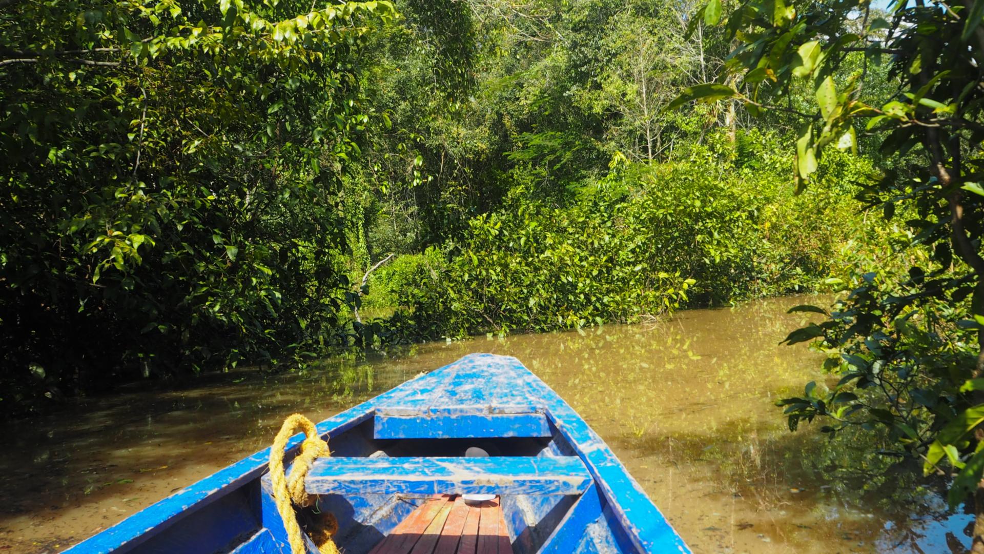 Amazonas River