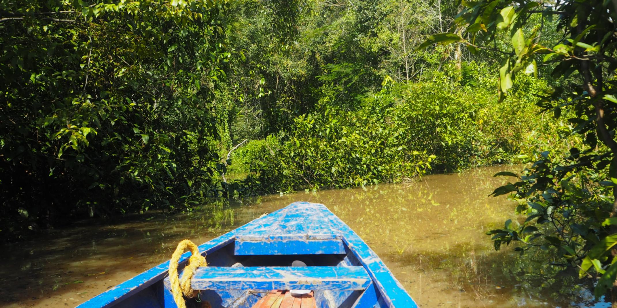 Amazonas River