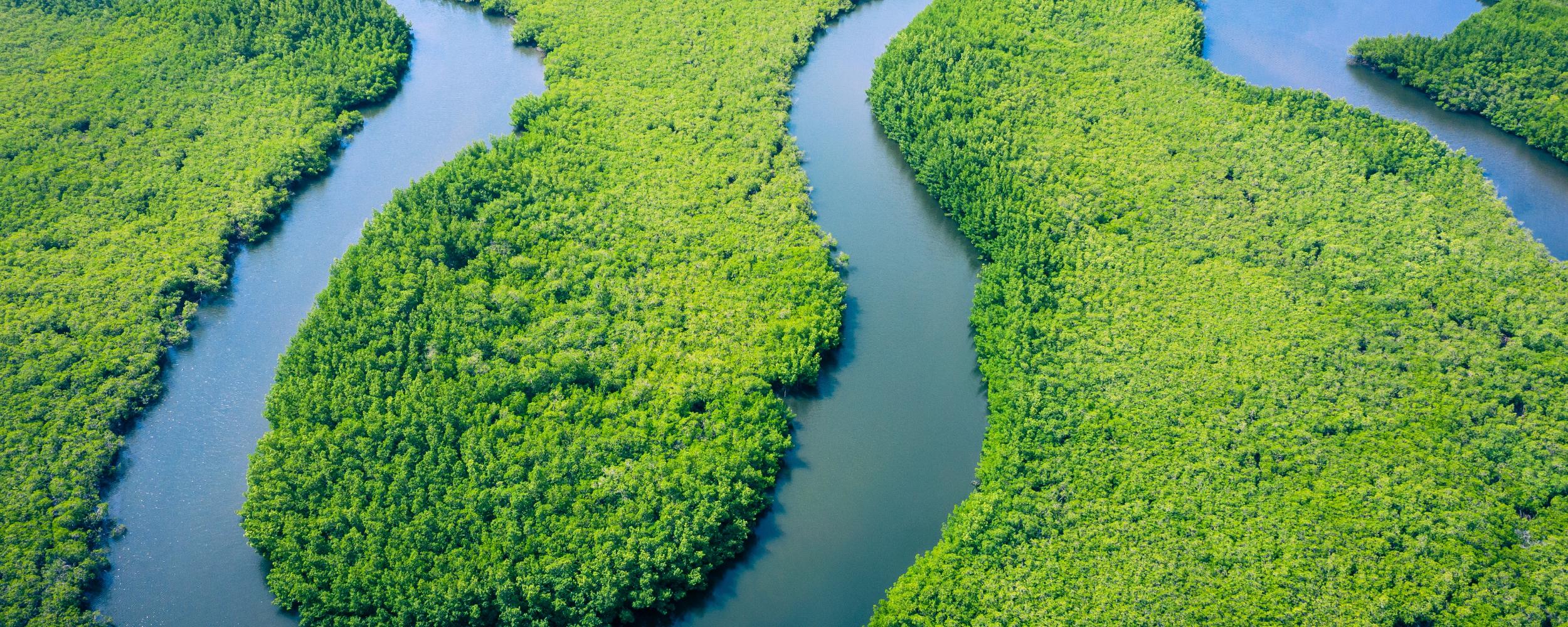Amazonas in Brasilien