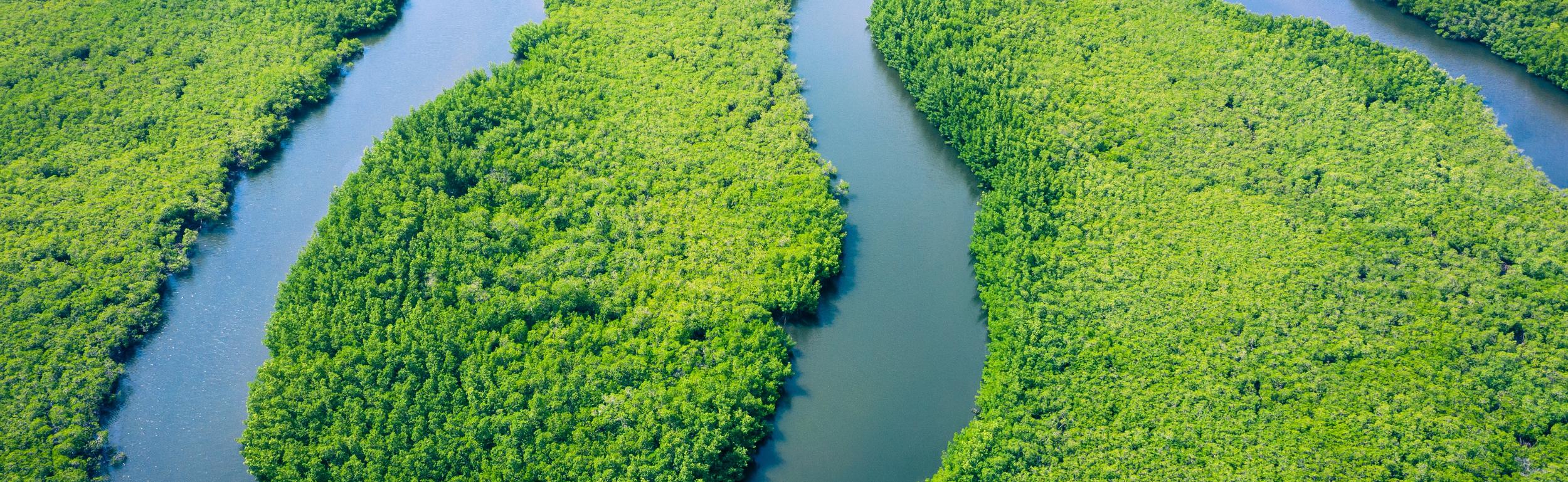 Amazonas in Brasilien