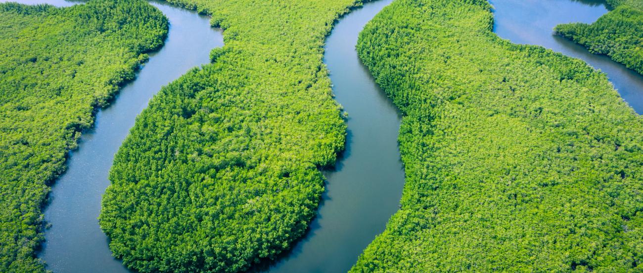 Amazonas in Brasilien