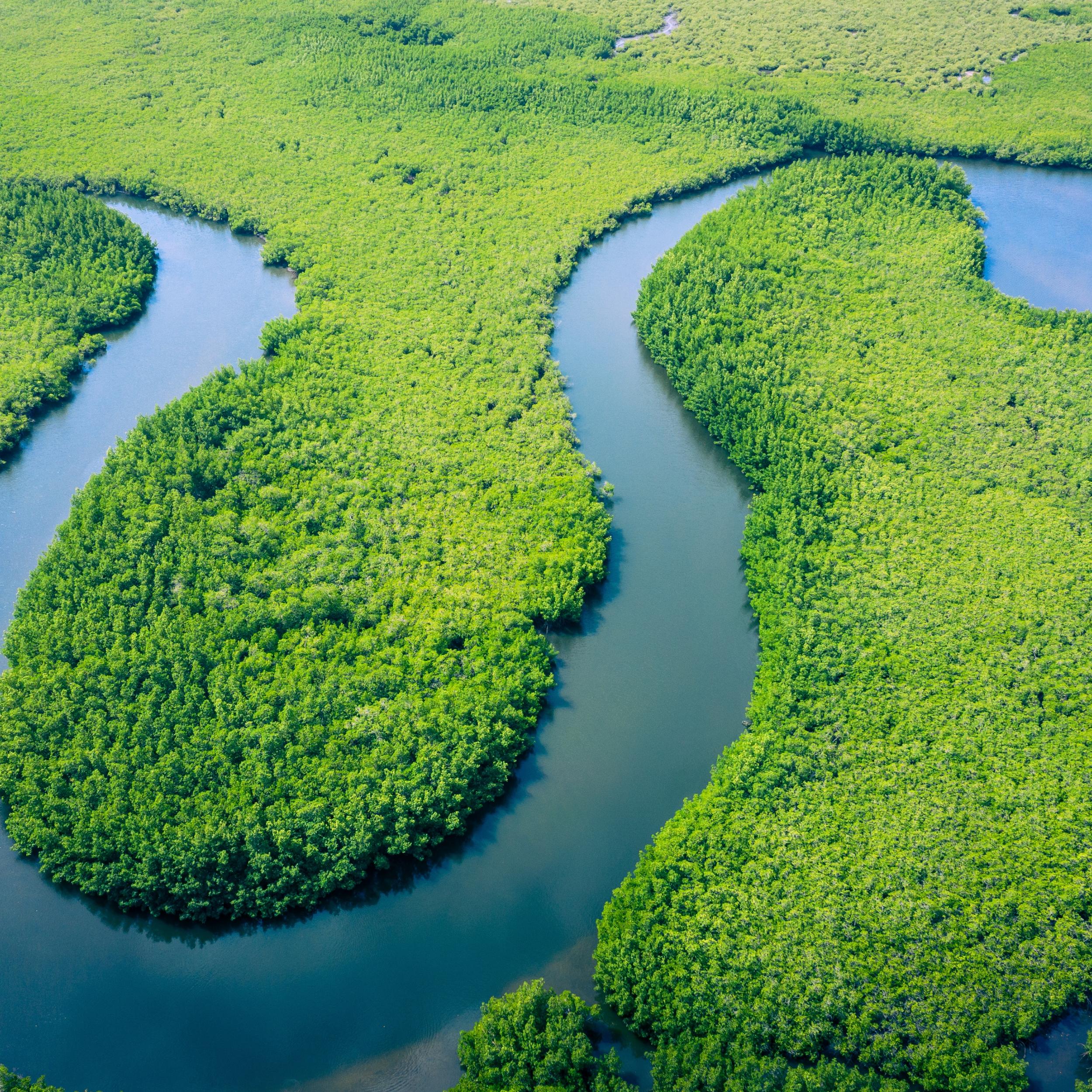 Amazonas in Brasilien