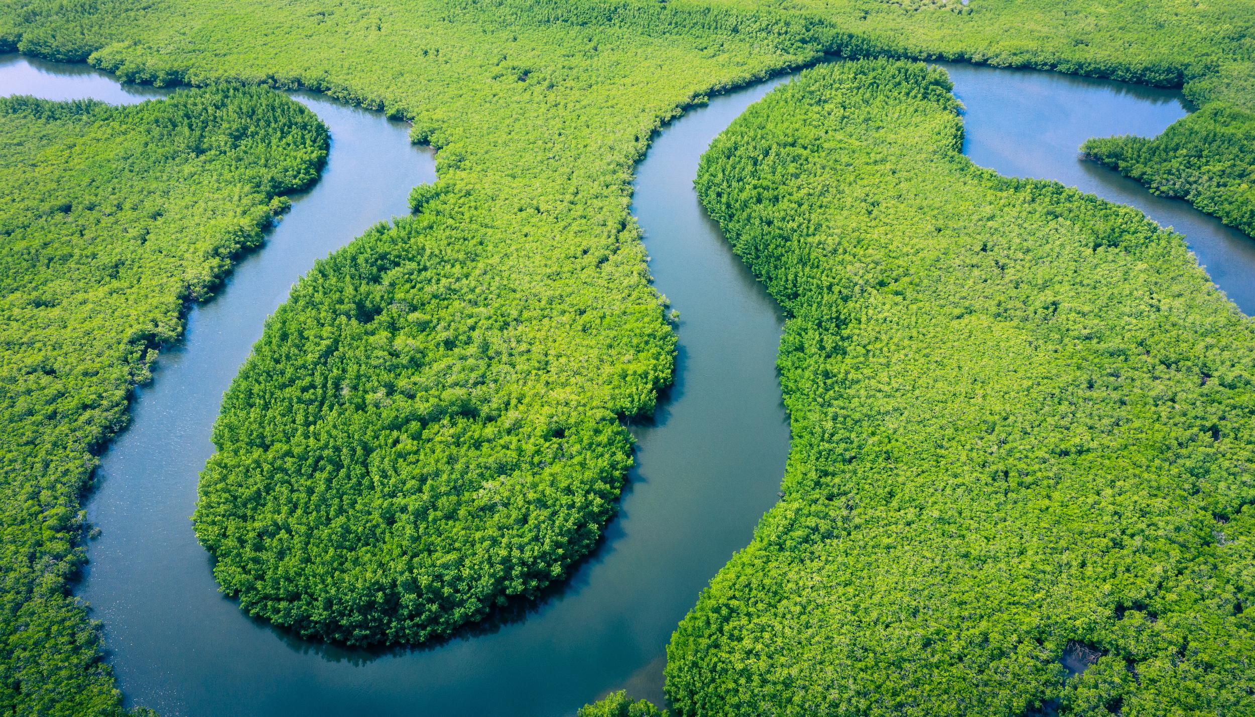 Amazonas in Brasilien
