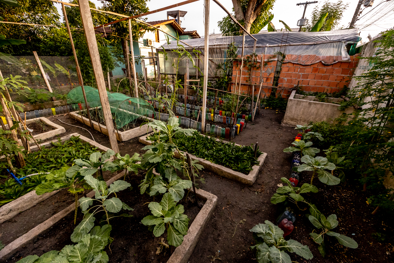 Teil des Gartens im Casa Amazonica.