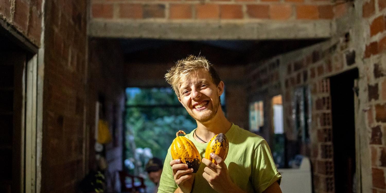 Frisch geernteter Kakao