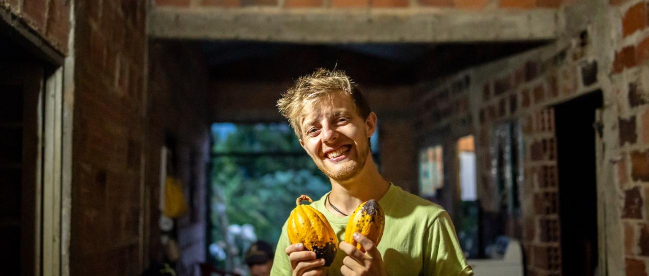 Frisch geernteter Kakao