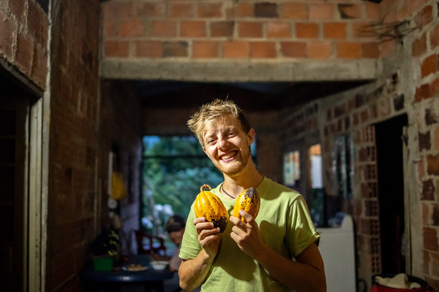 Frisch geernteter Kakao