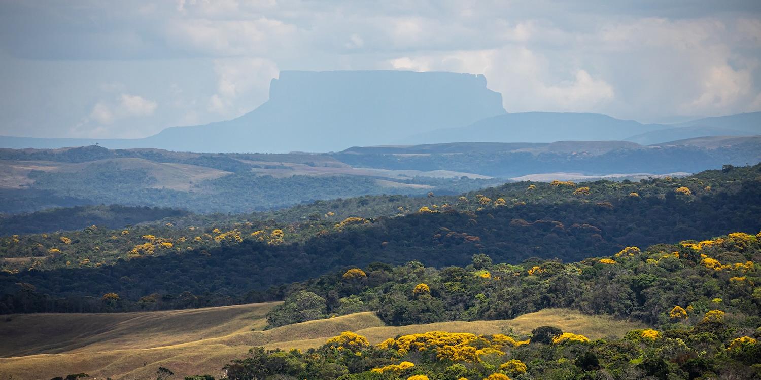 Die Gran Sabana mit den magischen und berühmten Tepuis.