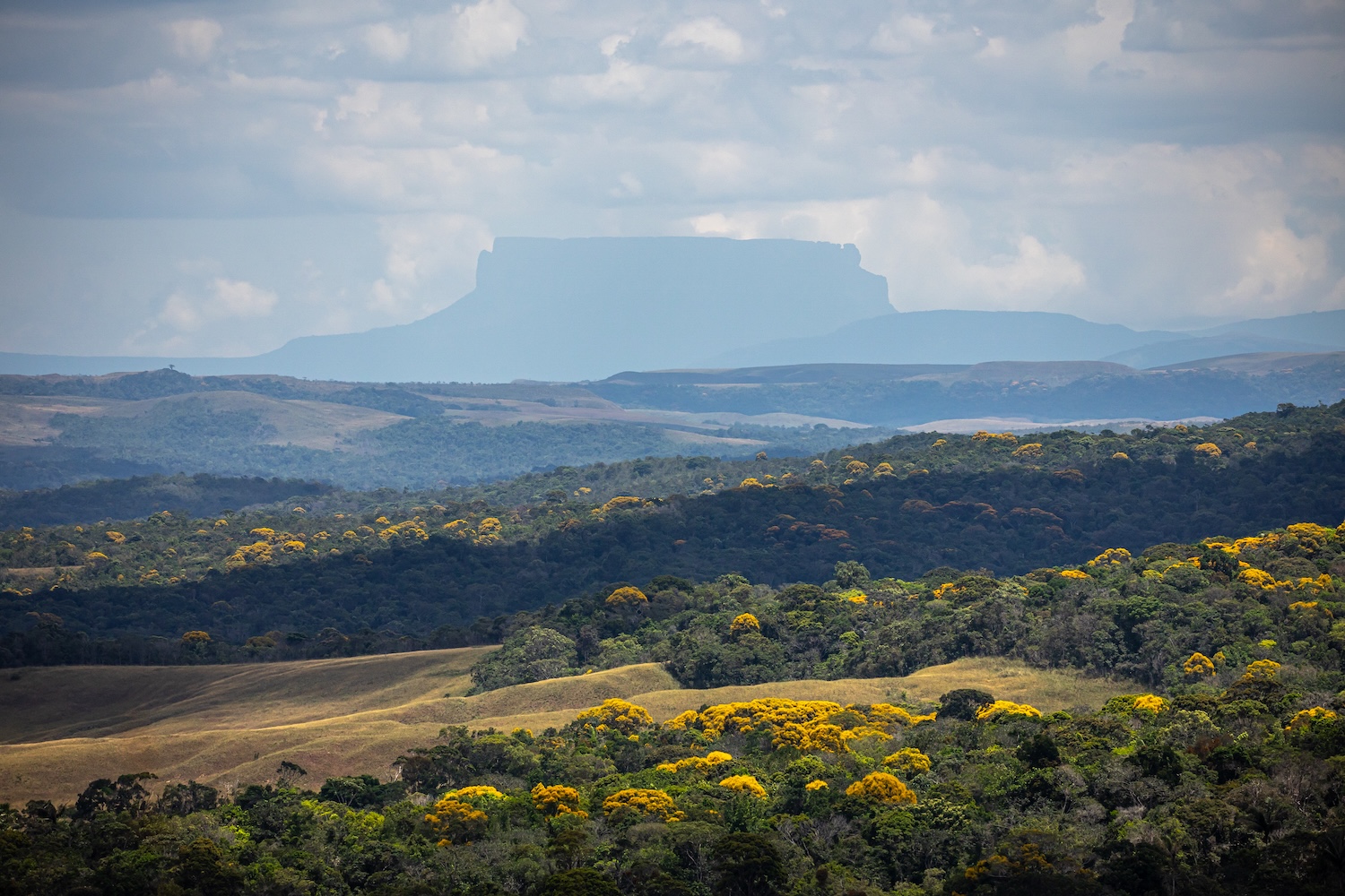 Die Gran Sabana mit den magischen und berühmten Tepuis.