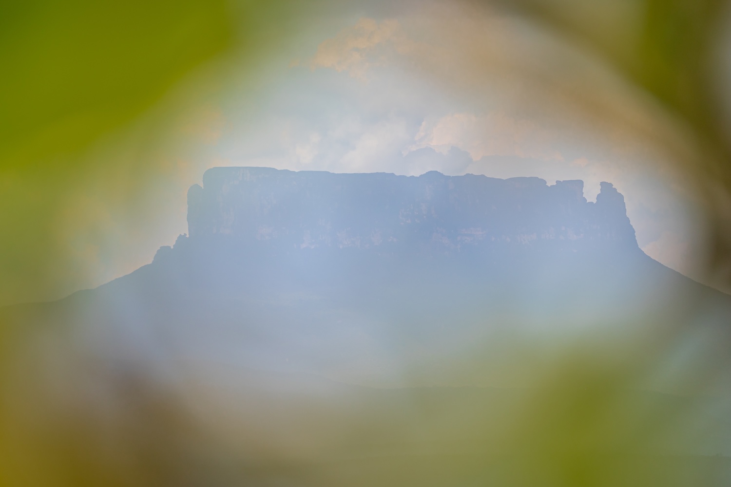 Die Tepuis. Sehen wie Hüte aus, die sich aus der Landschaft erheben.