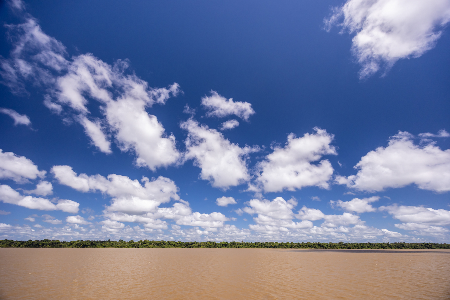 Der gigantische karamellfarbene Amazonas.