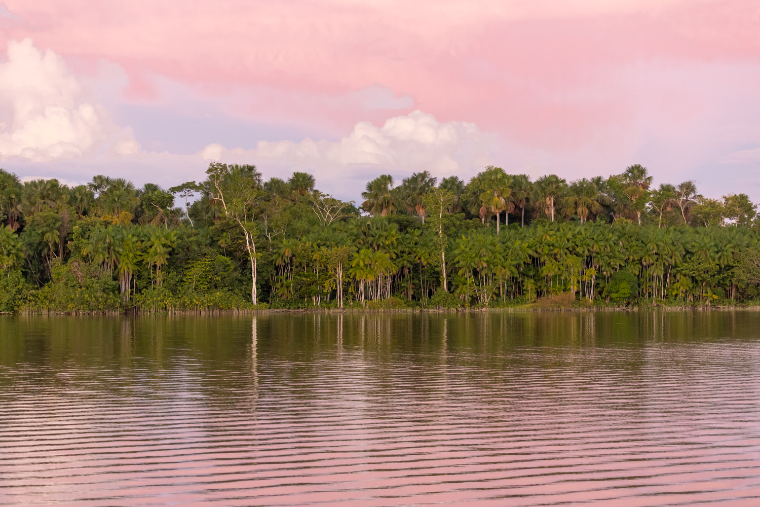 Der Amazonas ist mehr als nur ein Regenwald.