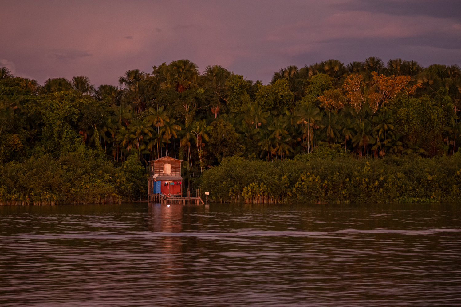 Brennt der Amazonas in Dir?