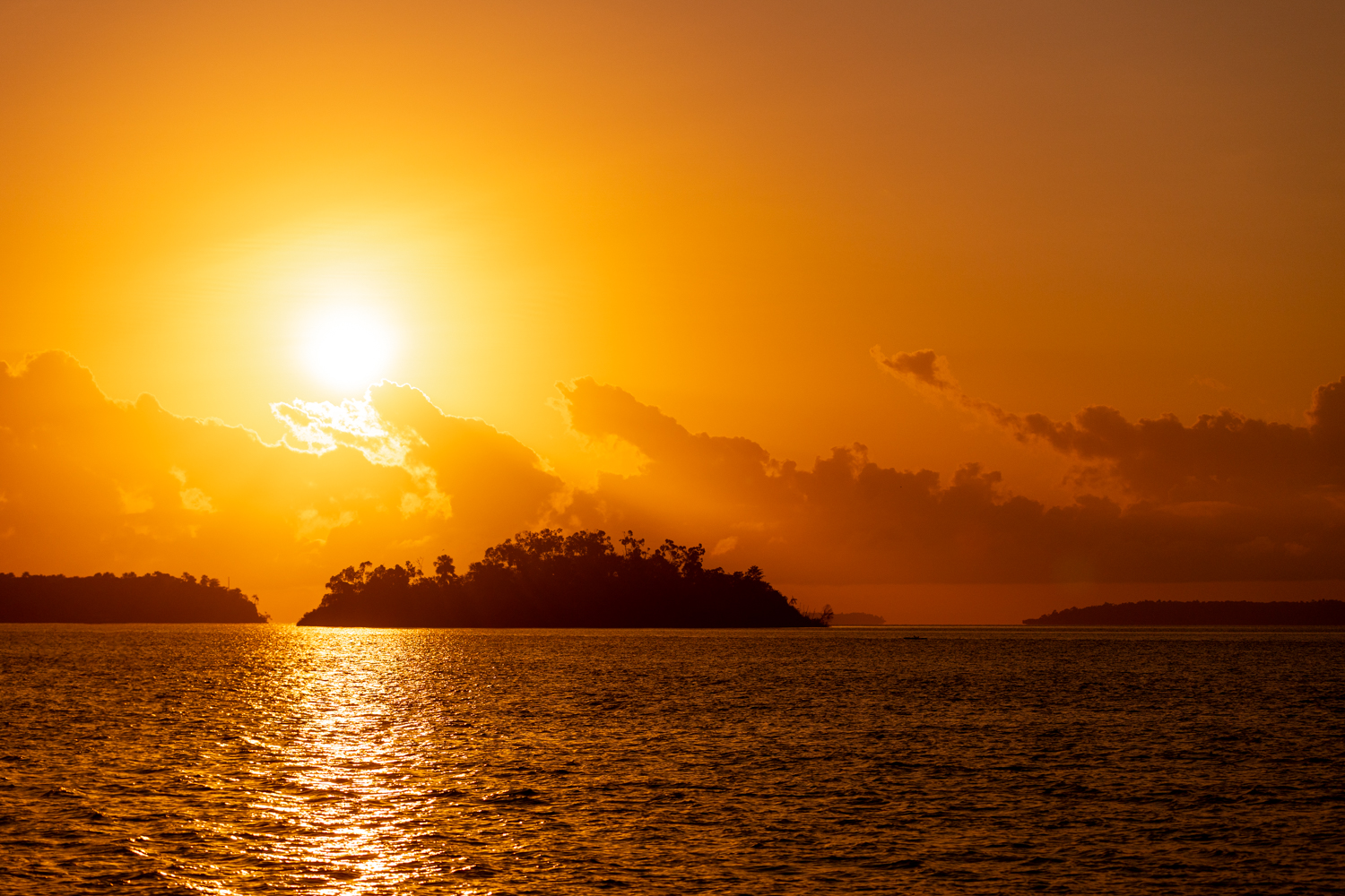 Es lohnt sich, sorgsam mit dieser Erde umzugehen.