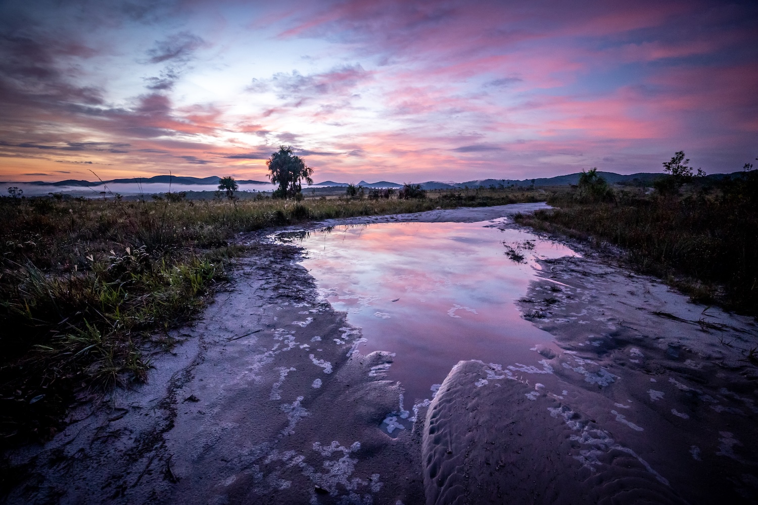 Ein Morgen voll Magie.