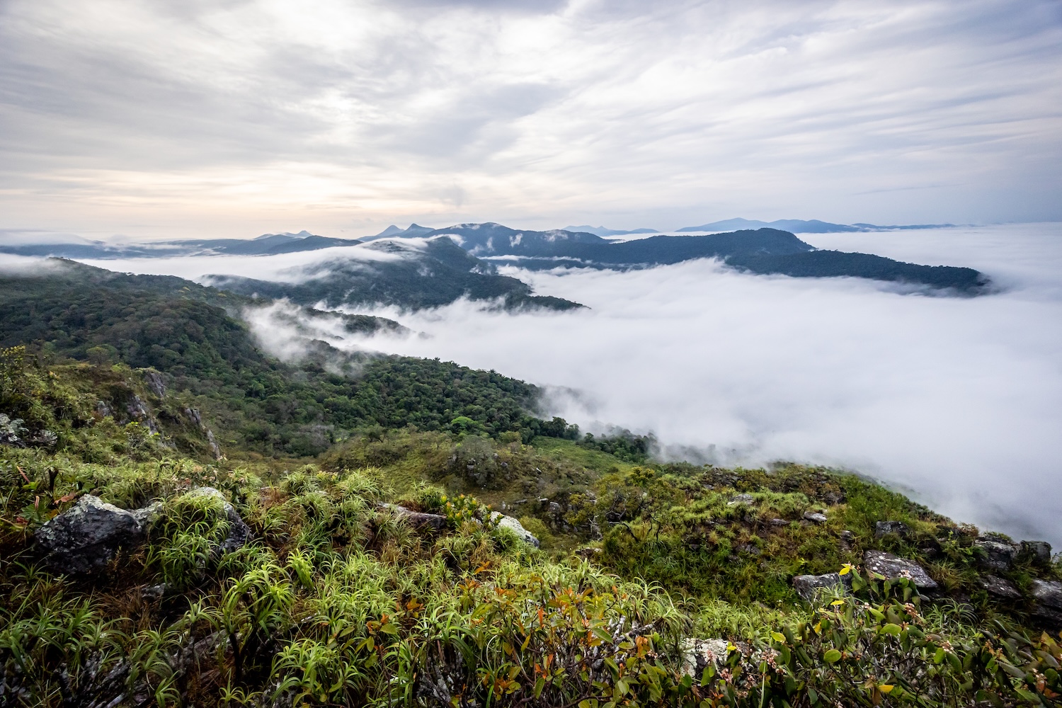 Vor uns eröffnet sich ein Wolkenmeer mit dem Regenwald darunter.